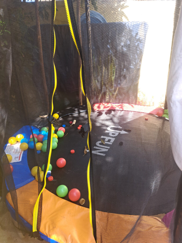 Imagen #1 de Comprador en MercadoLibre