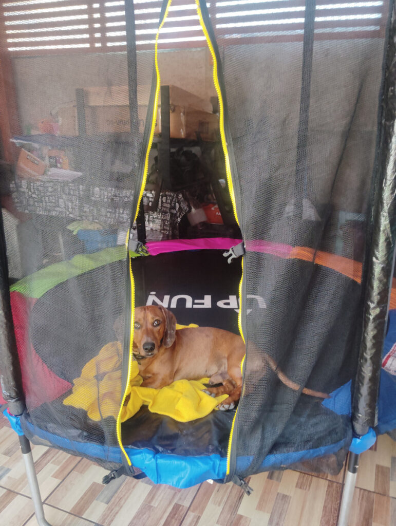 Imagen #1 de Comprador en MercadoLibre